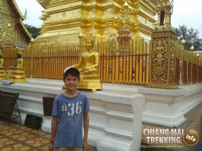 Tiger Kingdom, Orchid & Butterfly Farm | Chiang Mai Trekking | Le meilleur trekking à Chiang Mai avec Piroon Nantaya